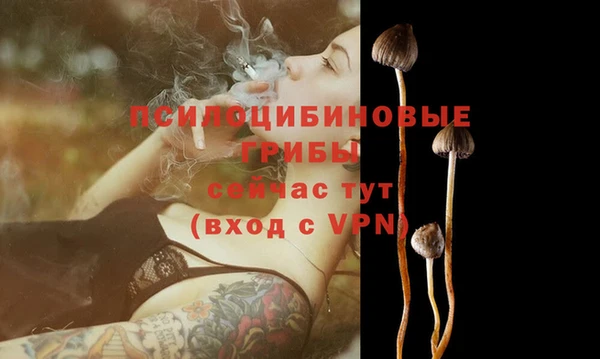 не бодяженный Новокубанск