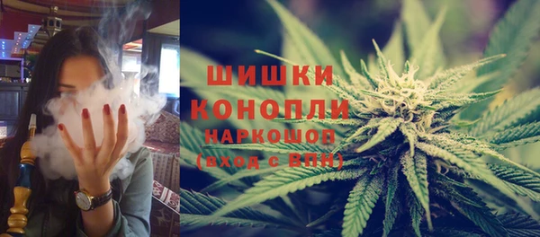 гашик Новозыбков