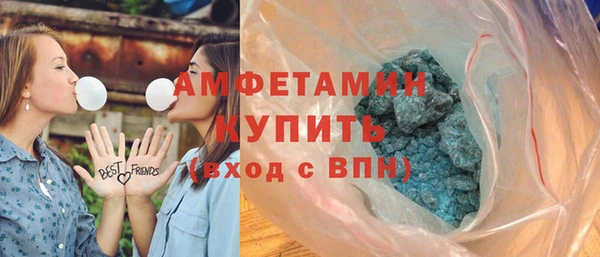 гашик Новозыбков