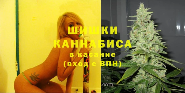 гашик Новозыбков