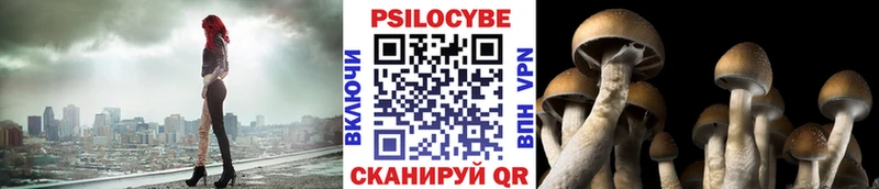 Псилоцибиновые грибы MAGIC MUSHROOMS Краснослободск
